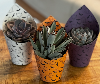 Halloween Succulent Sleeve-image
